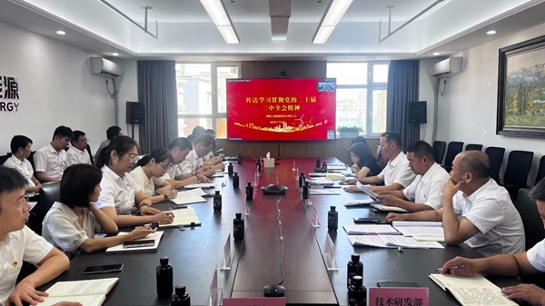 [图文]狮子会游戏集团一连掀起学习贯彻党的二十届三中全会精神热潮-狮子会游戏新闻